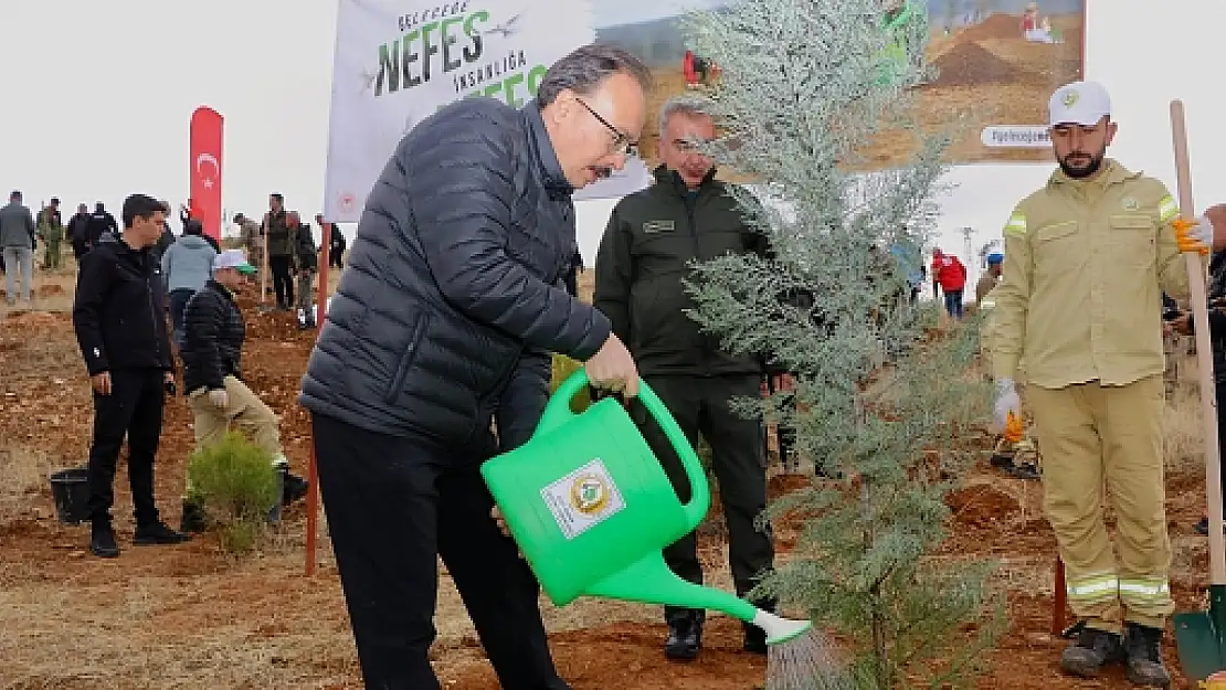 Siirt Orman İşletme Müdürlüğü'nden 2024'te Önemli Çalışmalar