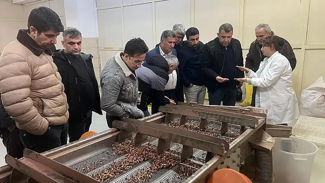 Siirt Sanayi ve Teknoloji İl Müdürlüğü'ne  Yeni Müdür