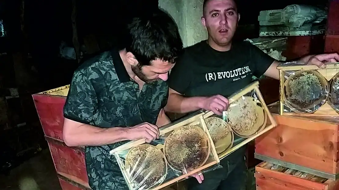 Siirt Tarım İl Müdürlüğünün Sağladığı Teşvikler, İstihdamla Katkı Sağlıyor