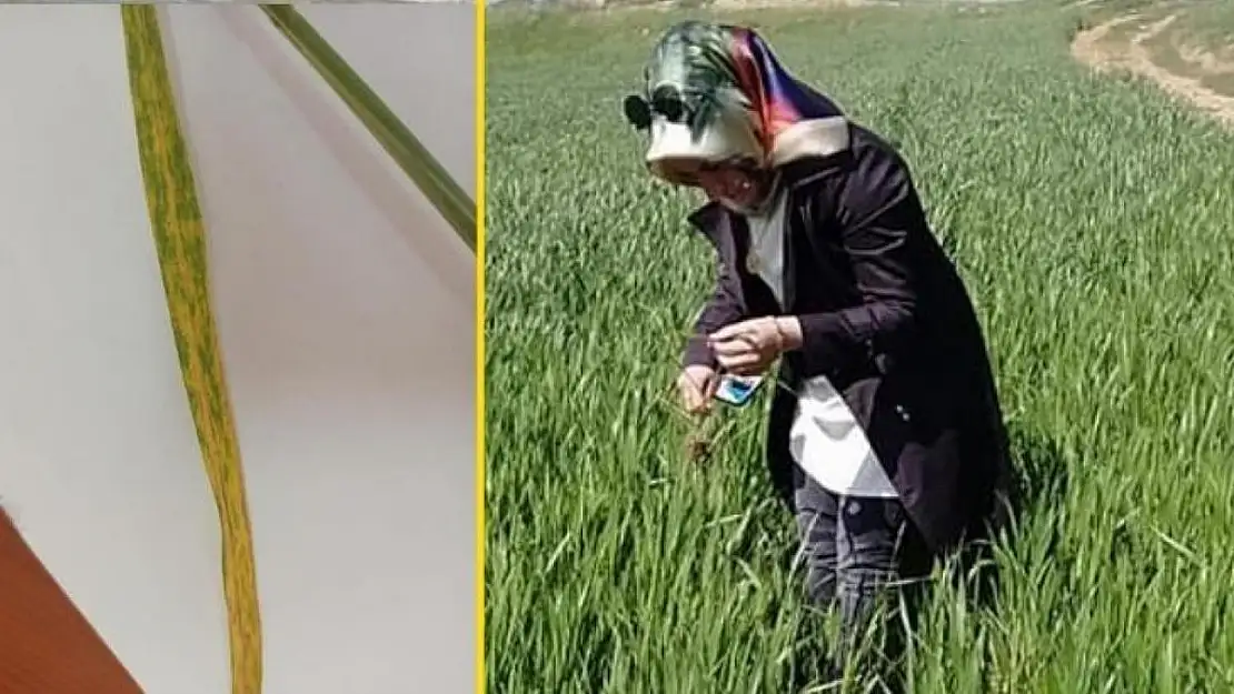 SİİRT TARIM MÜDÜRLÜĞÜNDEN UYARI