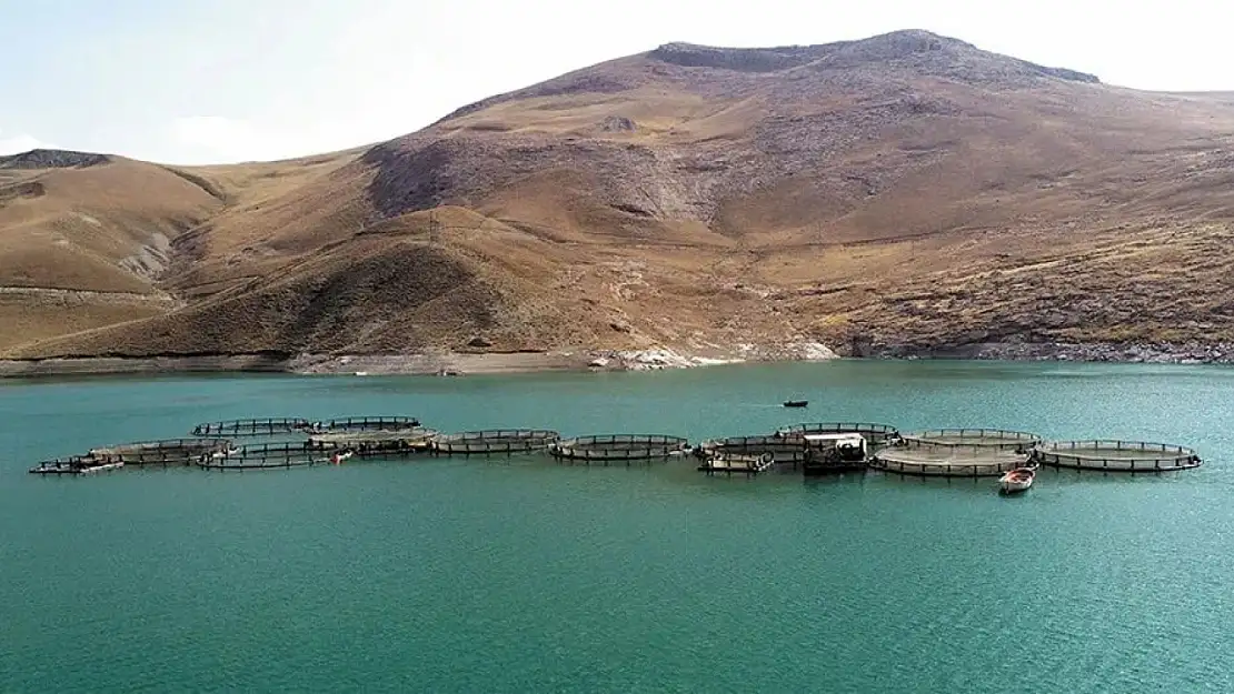 Siirt'te Avlak Sahaları İhaleye Çıkıyor!
