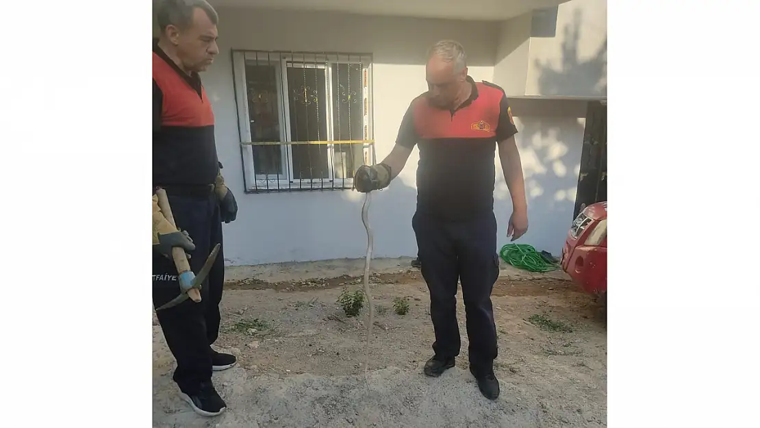 Siirt'te Bahçeye Giren Yılan Korkuttu, İtfaiye Müdahale Etti