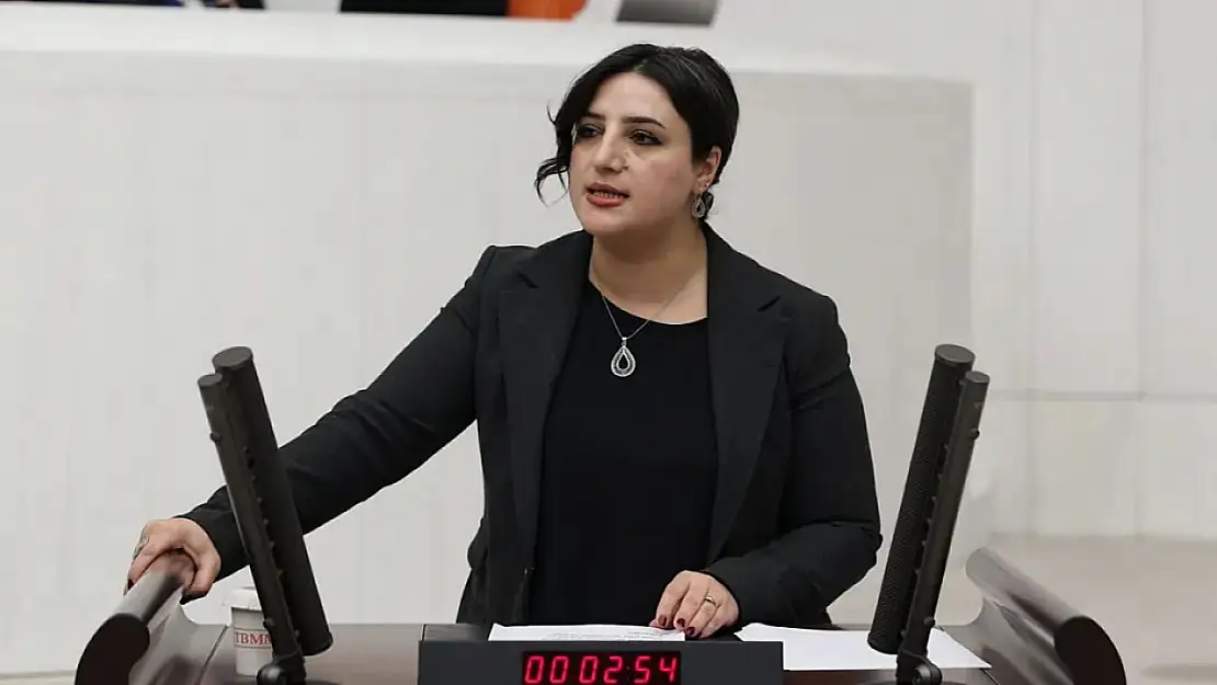 Siirt'te Beklenen Sanayi Hamlesi Başlamadı: DEM Parti Milletvekili Sarıtaş, Meclis'e Taşıdı