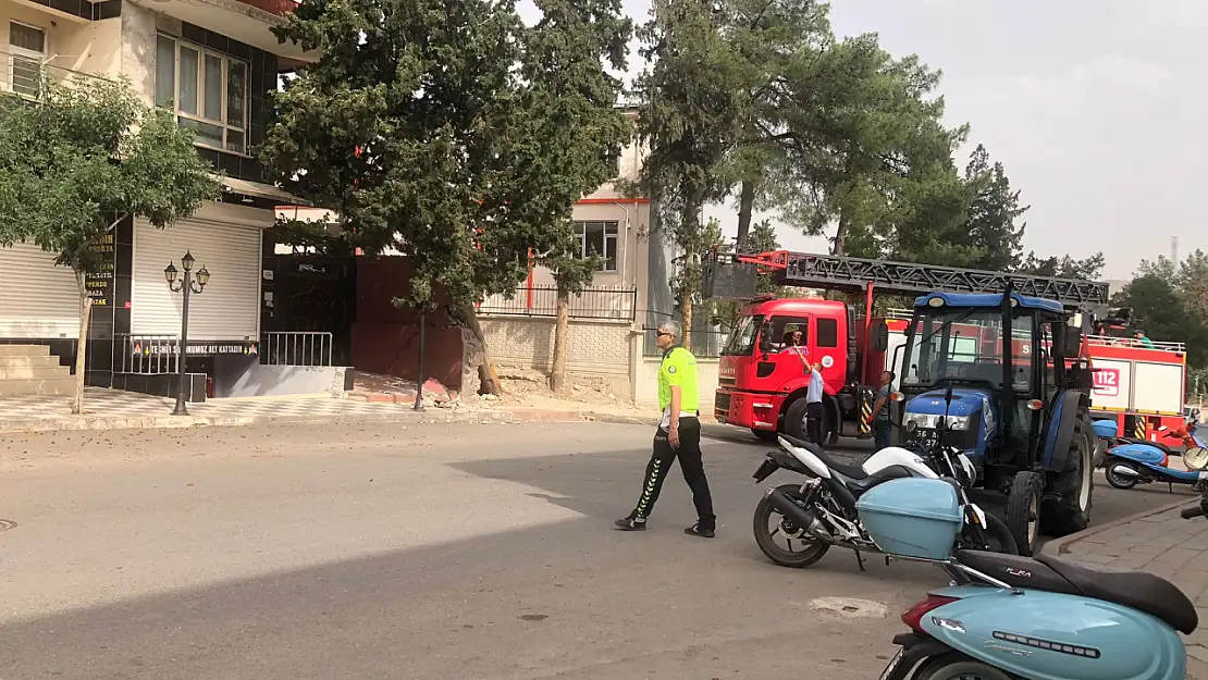 Siirt'te Çam Ağacı Devrildi: Şans Eseri Zarar Oluşmadı