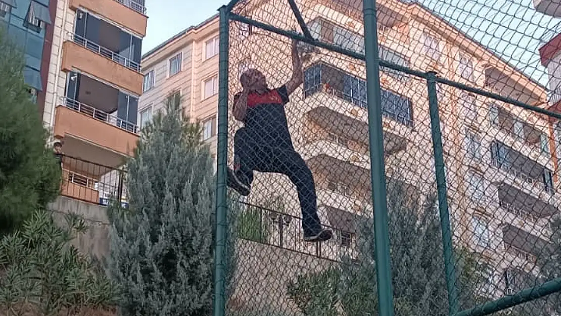 Siirt'te Çim Saha Tellerine Sıkışan Yavru Kedi İtfaiye Ekiplerince Kurtarıldı