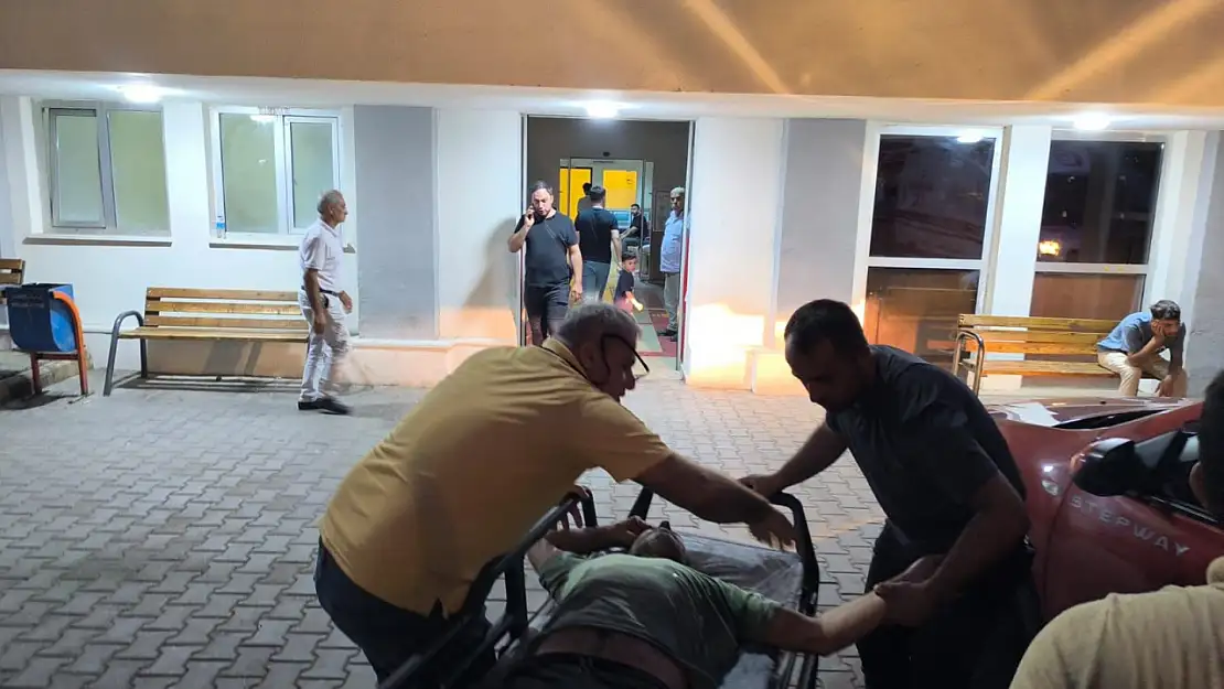 Siirt'te Kayabağlar Beldesi'nde Ağaçtan Düşen Adam Hastaneye Kaldırıldı