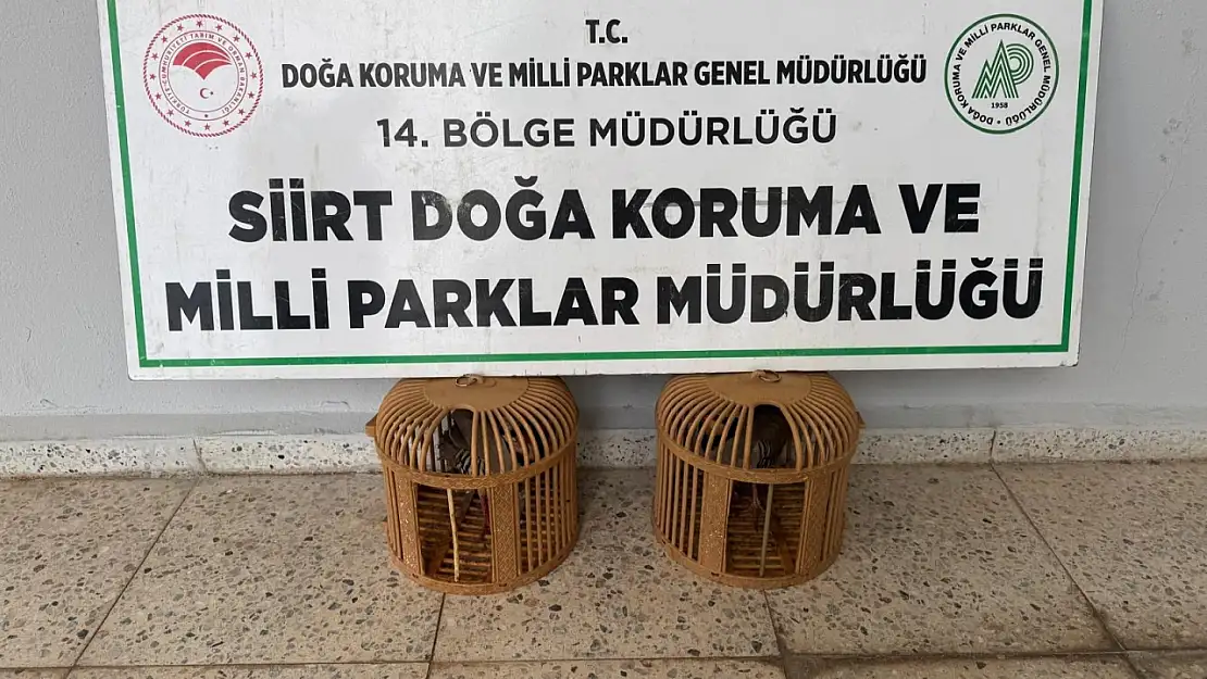 Siirt'te Yasaklı Kınalı Keklik Satışına Ağır Ceza