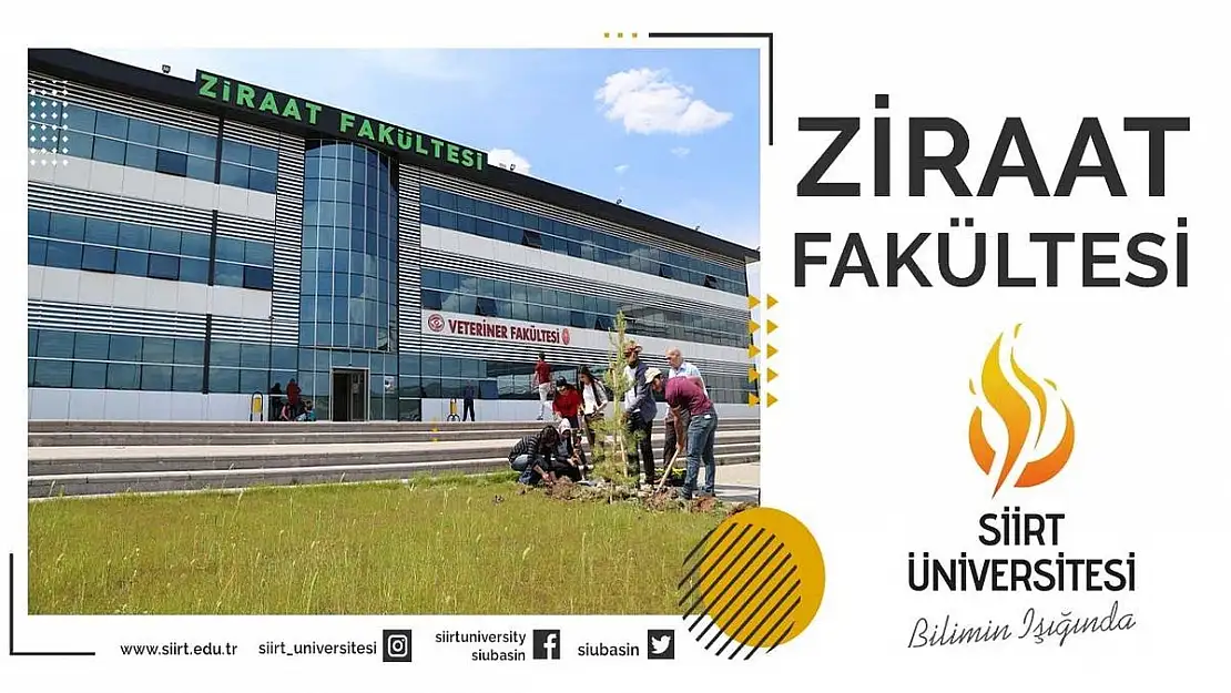 Siirt Üniversitesi Ziraat Fakültesi Ürettiği 90 Ton Buğdayı Satışa Çıkardı
