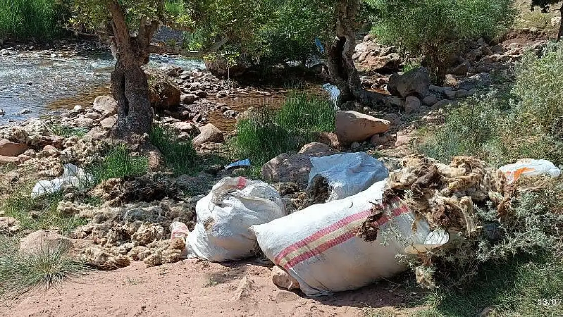 Siirt Zorava Çayı'nda Yün Yıkamanın Yarattığı Çevre Sorunlarına İlişkin Vatandaş Şikâyeti