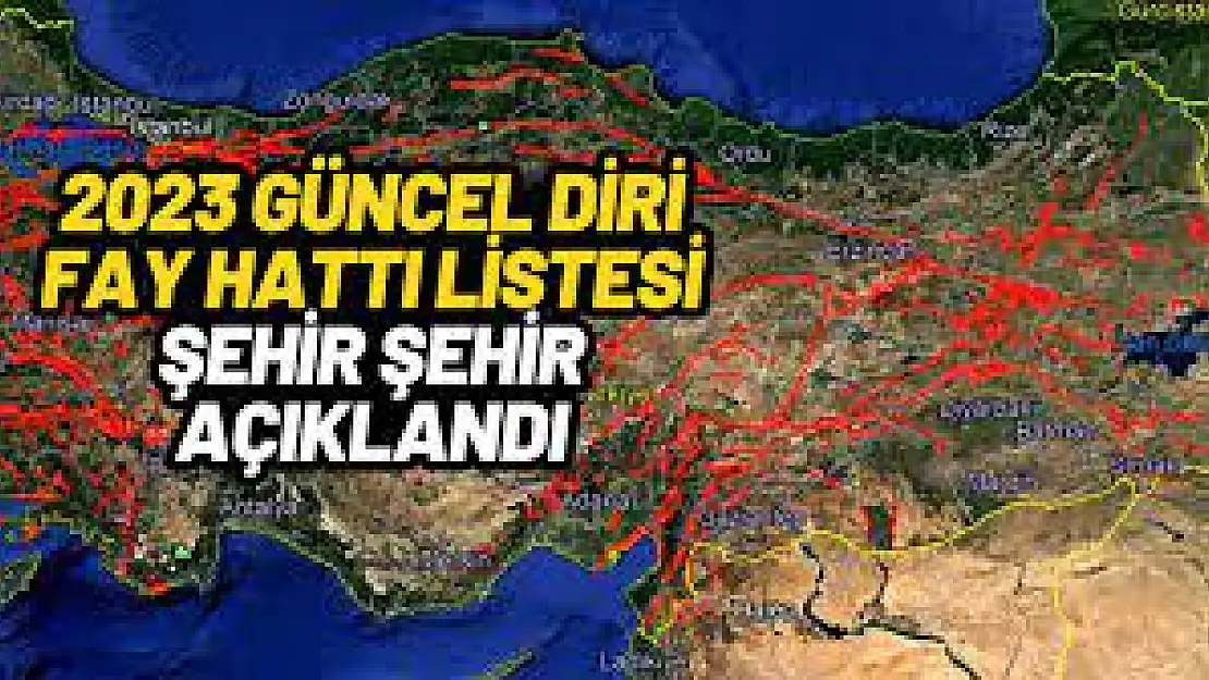 Siirt'in de Aralarında Olduğu 45 İl ve 110 İlçe Doğrudan Diri Fay Hattı Üzerinde!