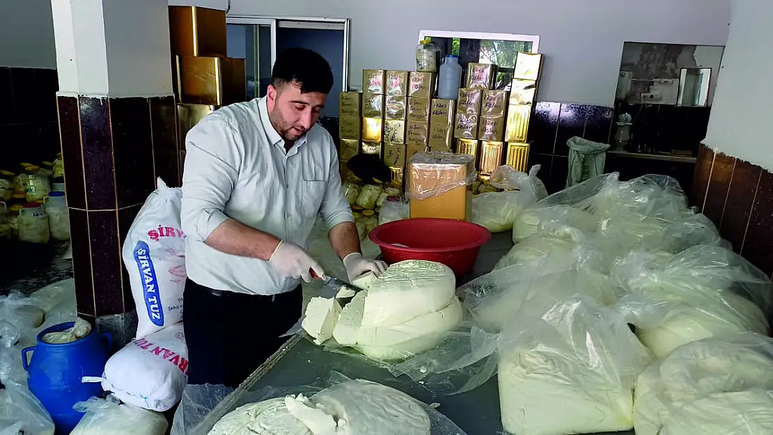 Siirt'in Meşhur Peynircilerinden Nihat İmaç Fiyatlar Milletin Alım Gücünü Zorluyor (VİDEOLU HABER)