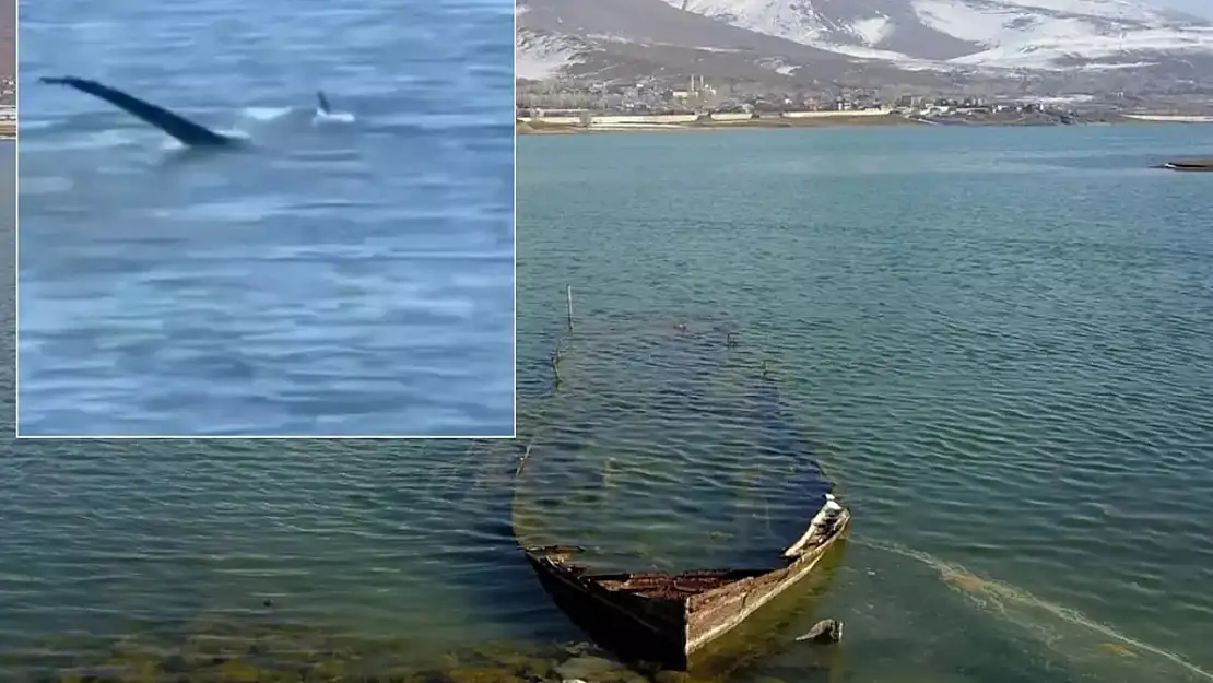 Siirtlilerin Sıkça Gittiği Tatvan'da 'Van Gölü Canavarı' İddiası Yeniden Gündemde