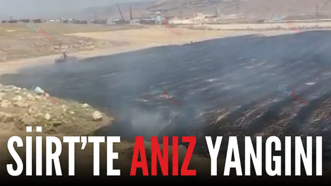 Siirt'te Anız Yangını