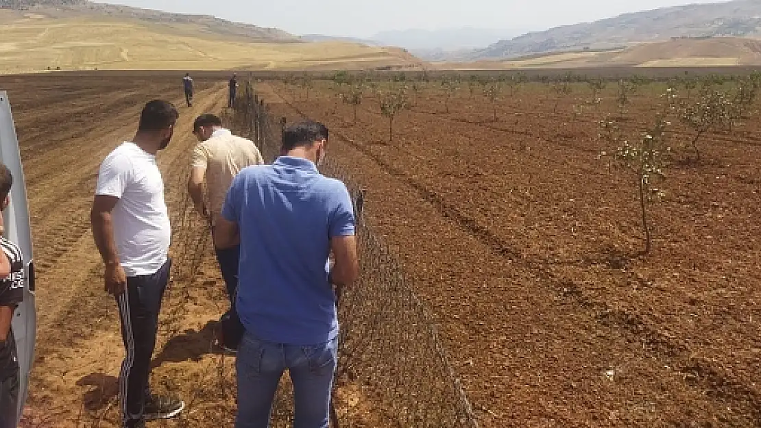 Siirt'te Anız Yangını Çıkan Alanlarda Hasar Tespit Çalışmaları Tamamlandı