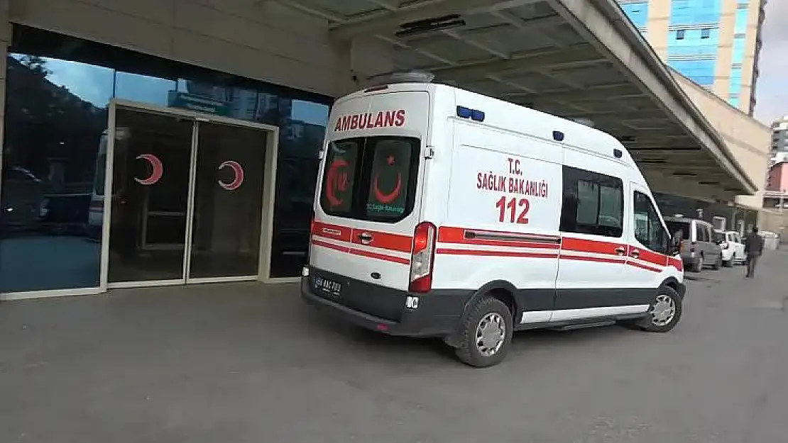 Siirt'te At Tepmesi Sonucu Yaralanan Zerda, Yoğun Bakımda