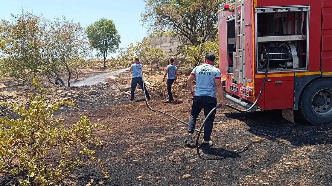 Siirt'te Bir Çiftçinin Onca Yıllık Emeği Küle Döndü!