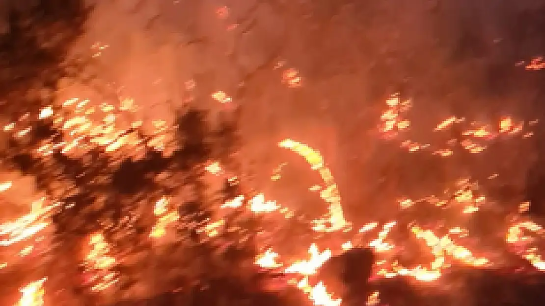 Siirt'te Büyük Orman Yangını!