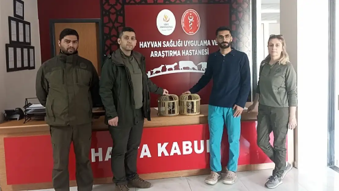 Siirt'te Canlı Keklik Yakalayanlara Cezai İşlem Uygulandı