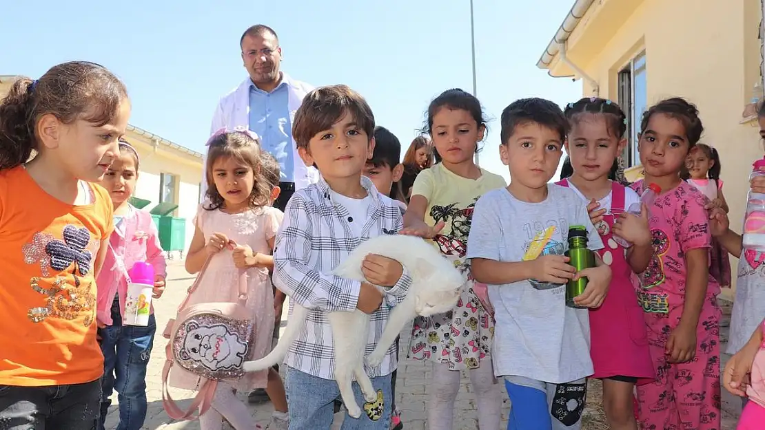 Siirt'te Çocuklar Sokak Hayvanlarıyla Buluştu