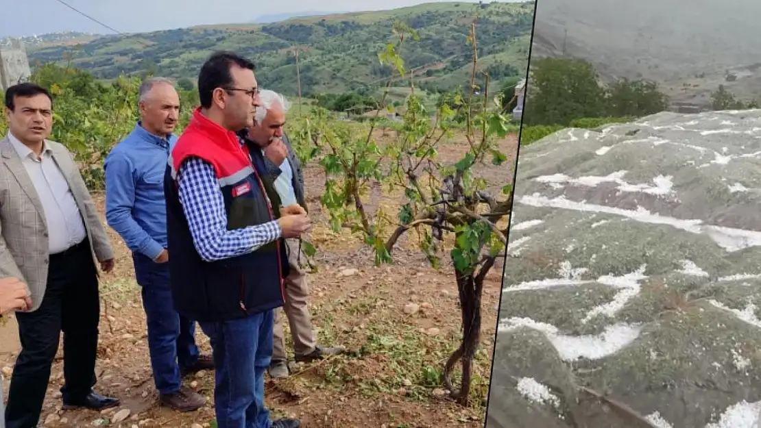 Siirt'te Dolu Yağışı Nedeniyle Sebze ve Fıstık Bahçeleri Zarar Gördü