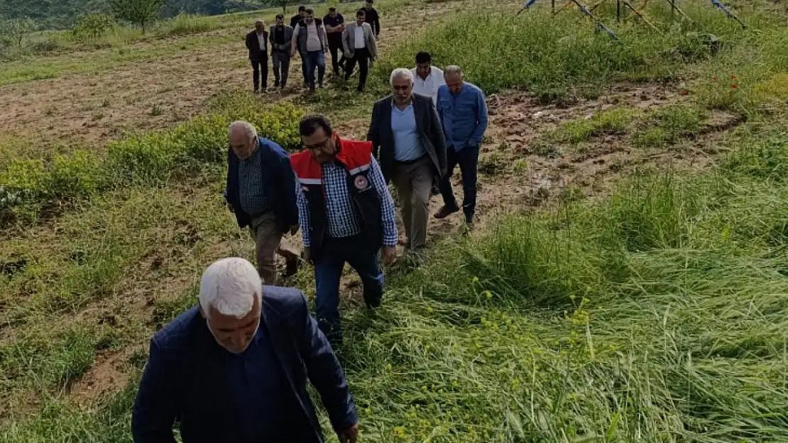 Siirt'te Dolu Yağışının Ardından Hasar Tespit Çalışmaları Başladı