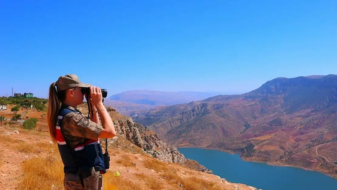 Siirt'te Fıstık Hırsızlığına Karşı Jandarma Alarmda (VİDEOLU)