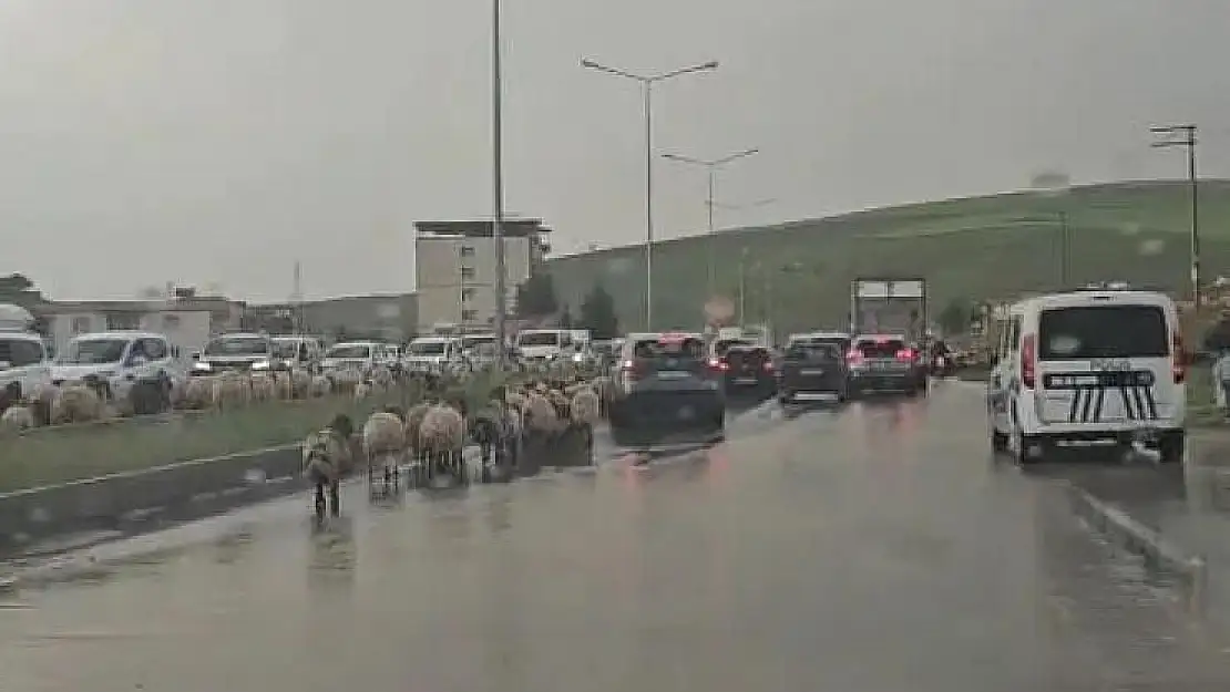 Siirt'te Göçerlerin Yayla Yolculuğu Başladı