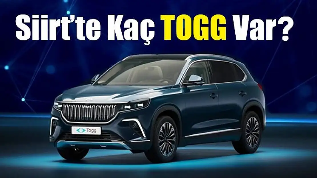 Siirt'te Kaç TOGG Var?
