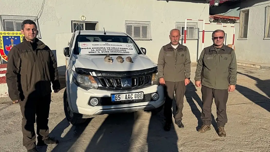 Siirt'te Kaçak Avcılığa Geçit Yok