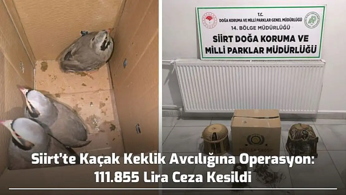 Siirt'te Kaçak Keklik Avcılığına Operasyon