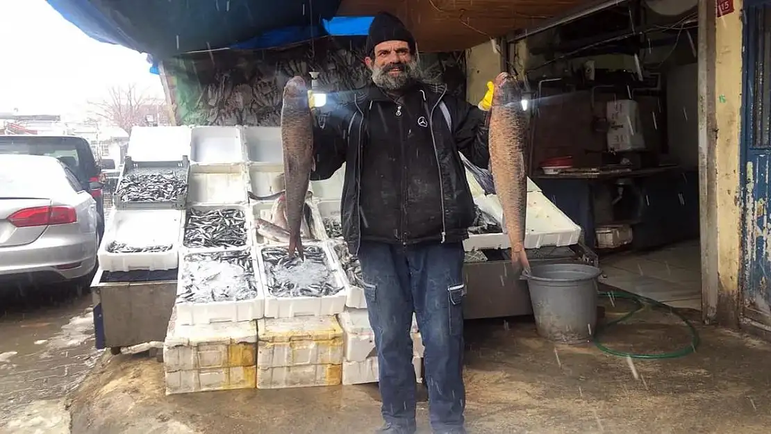 Siirt'te Kırmızı Et Fiyatlarındaki Artış, Vatandaşları Balık Tercihine Yönlendirdi