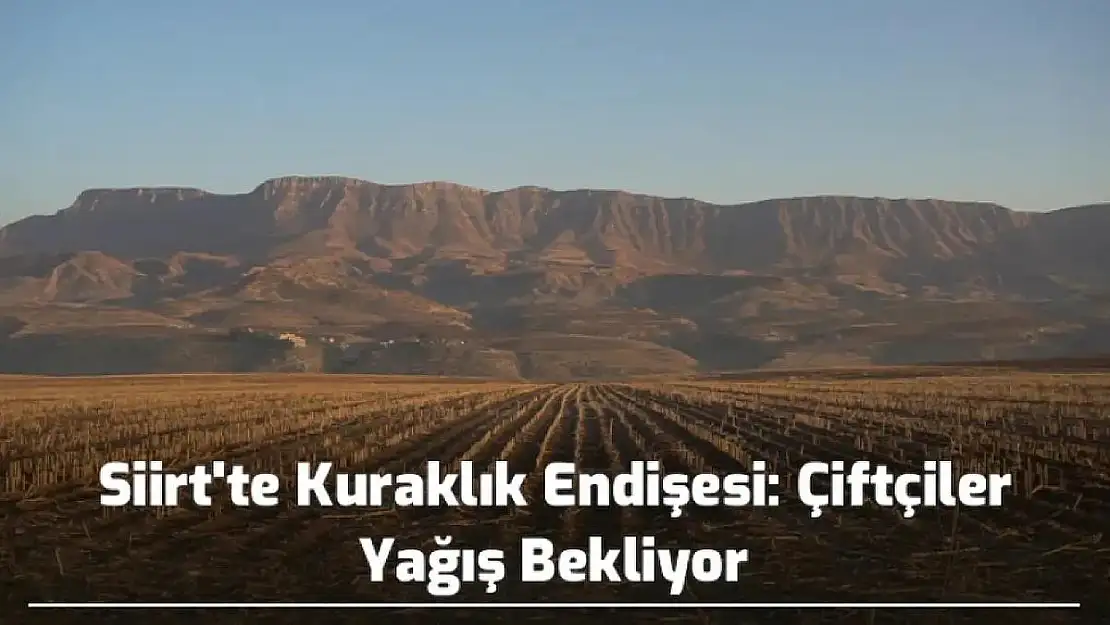 Siirt'te Kuraklık Endişesi