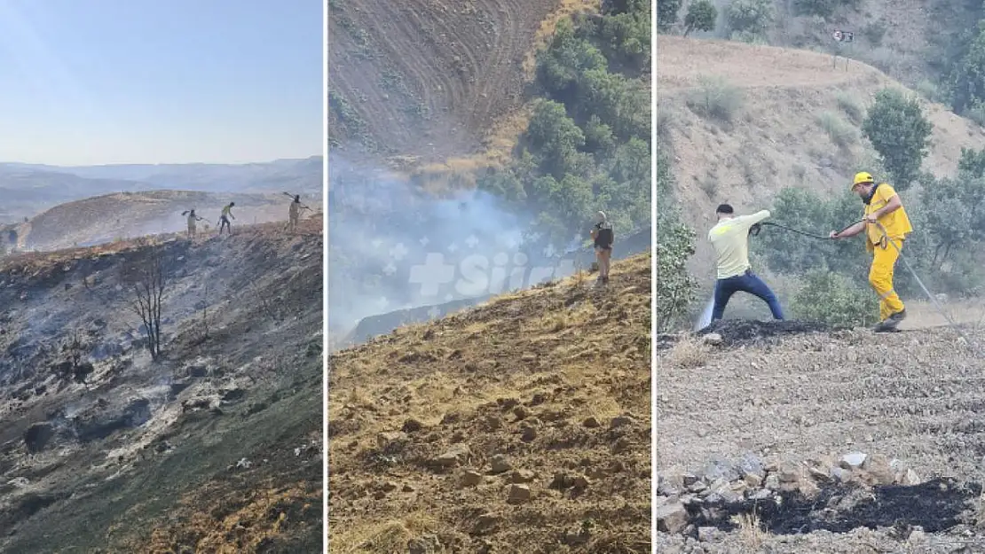 Siirt'te Orman Yangını
