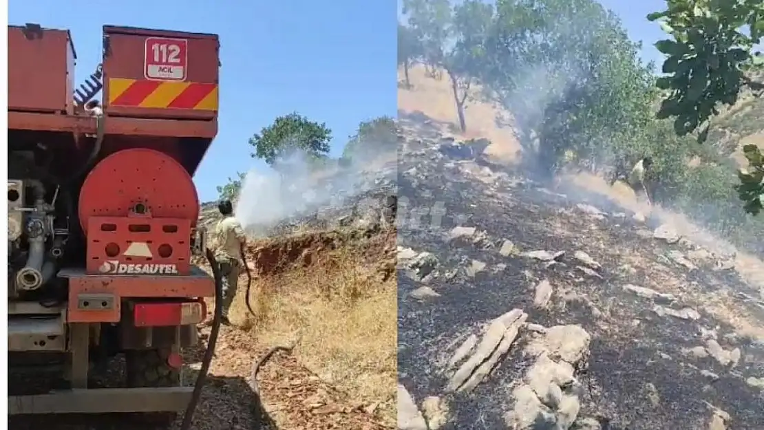 Siirt'te Ormanlık Alanda Çıkan Yangın Söndürüldü