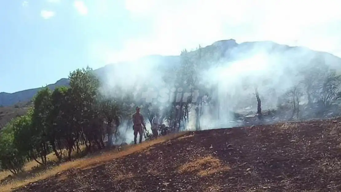 Siirt'te Ormanlık Alanda Yangın