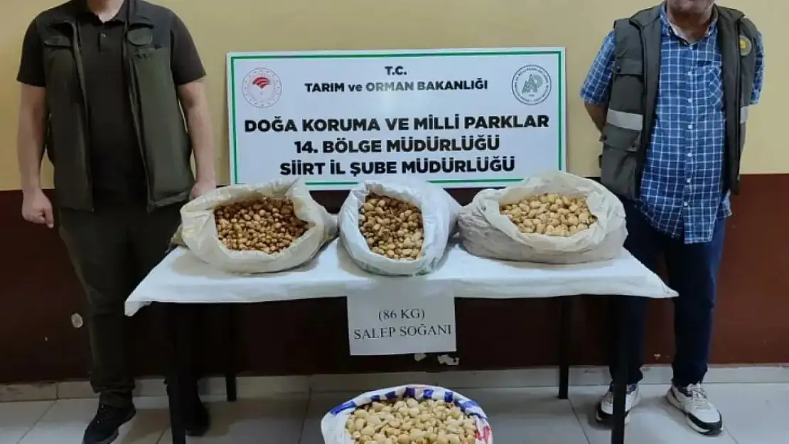 Siirt'te Salep Soğanı Toplayan Kişiye 387 Bin 141 Lira Para Cezası Kesildi