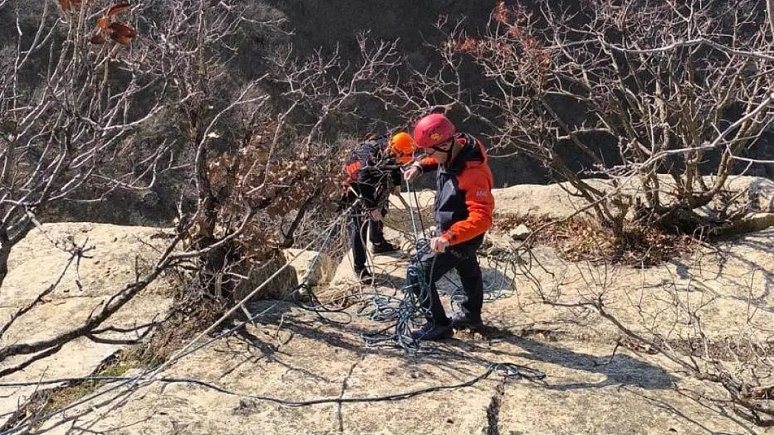 Siirt'te Uçuruma Düşen Keçileri AFAD Kurtardı