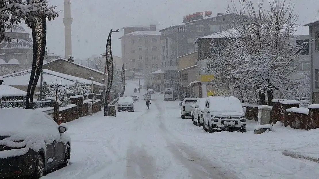 Siirt'te ve Bingöl'de Kar Nedeniyle 175 Köy İle Ulaşım Sağlanamıyor