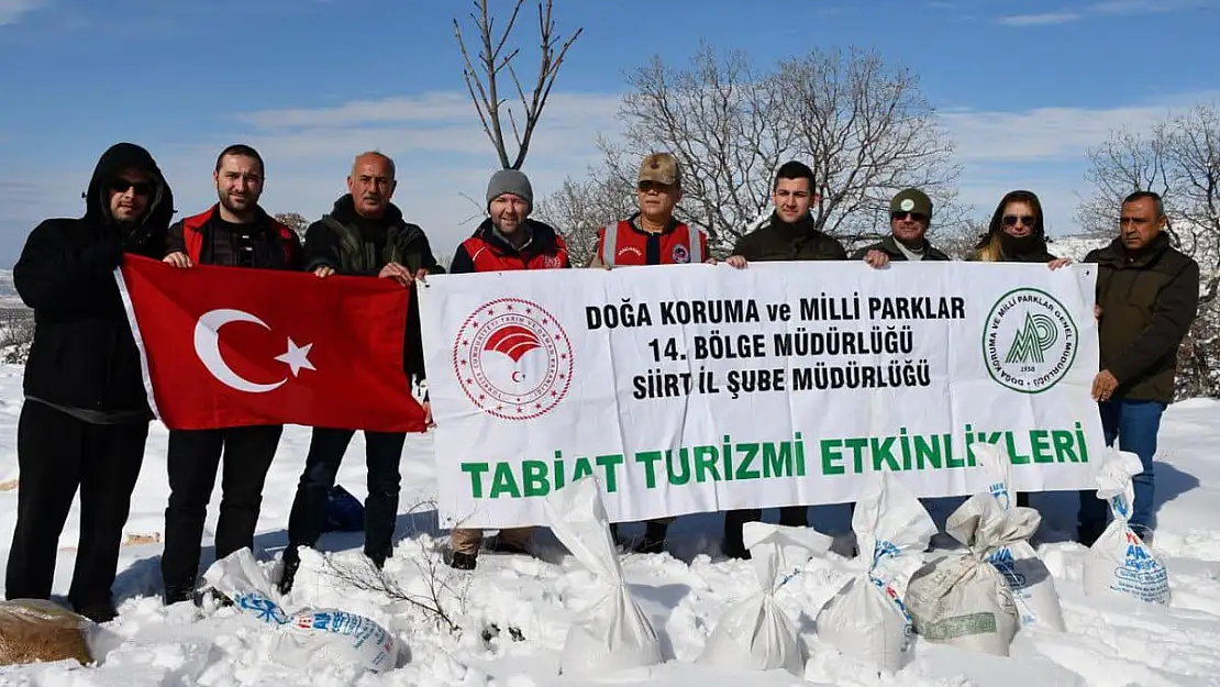 'Siirt'te Yiyecek Bulmakta Zorlanan Yaban Hayvanları İçin Doğaya Yem Bırakıldı