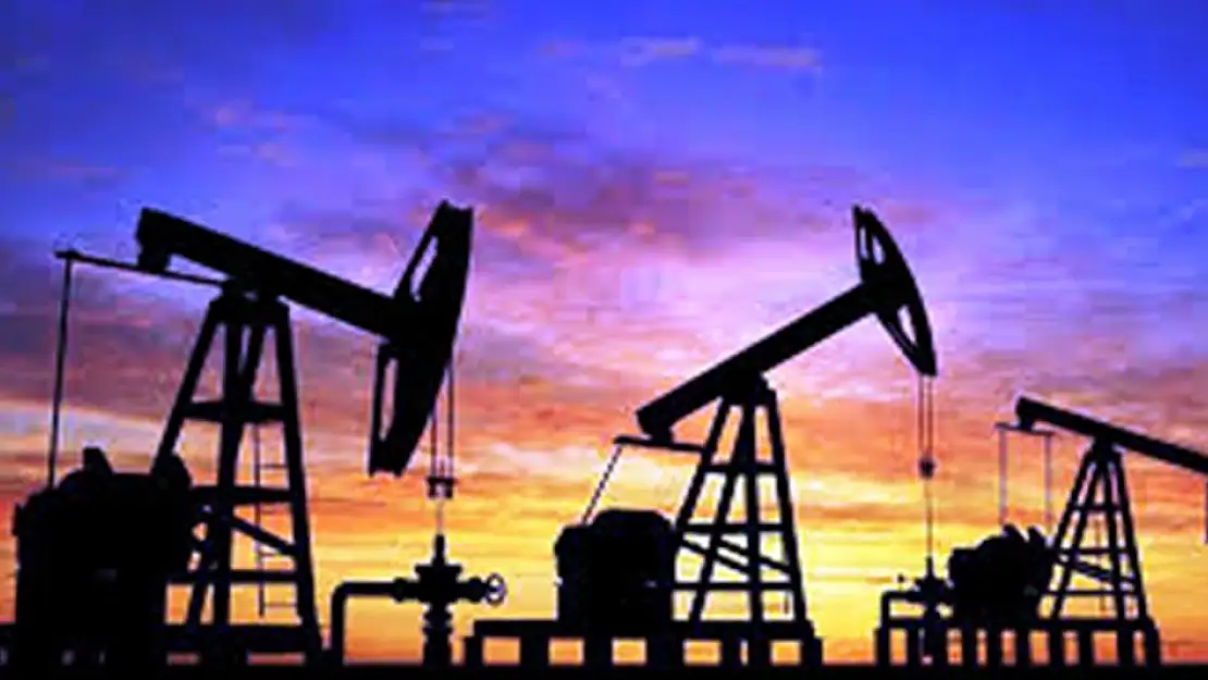 SİİRT'TE ZENGİN PETROL VE DOĞALGAZ YATAKLARI VAR!