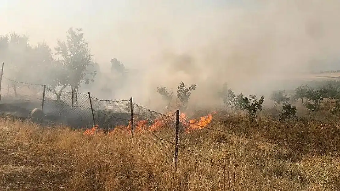Siirt'teki Anız Yangını Fıstık Bağlarına Sıçradı