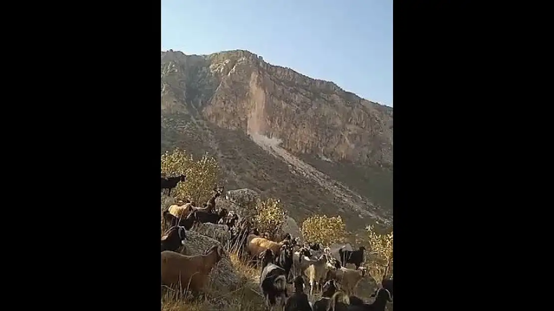 Siirt'teki Deprem Anı Çobanın Kamerasına Yansıdı!