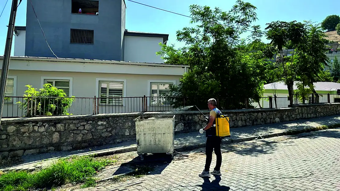 Sinek ve Haşerelere Karşı Yoğun İlaçlama Çalışmaları