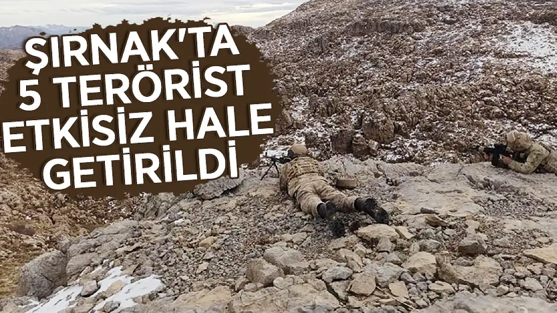 Şırnak'ta 5 Terörist Etkisiz Hale Getirildi