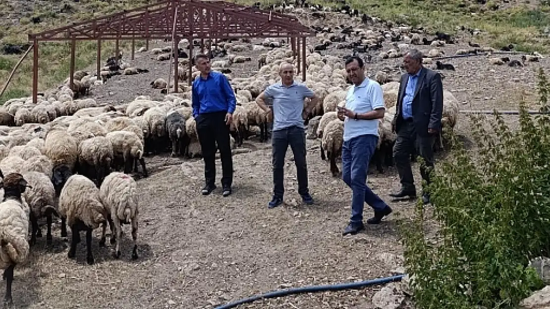 Şirvan İlçemiz Kesmetaş Köyünde Mera Islah Projesi Uygulanıyor