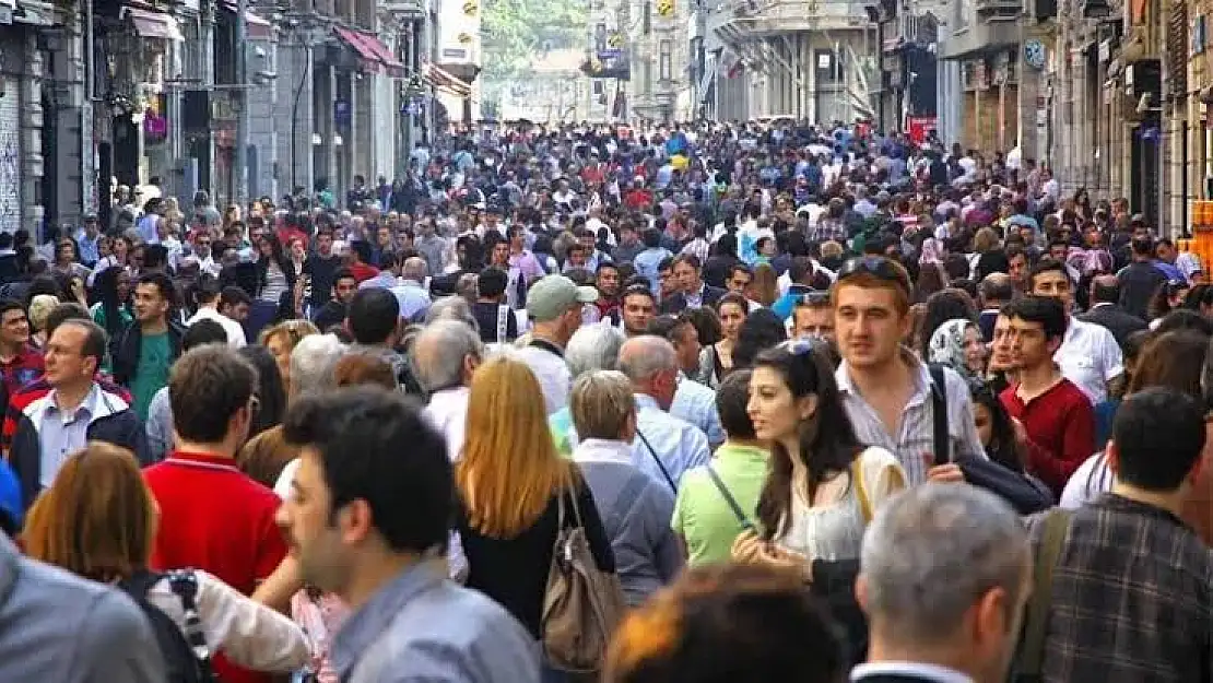 Şirvan ve Tillolular Daha Çok Nerede Yaşıyor?
