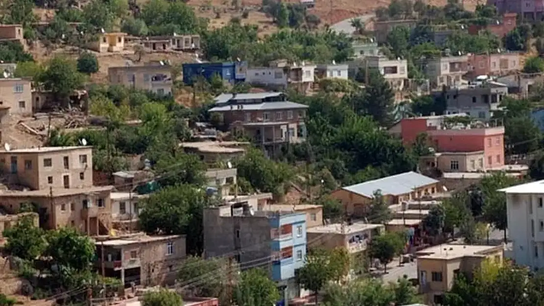 Şirvan, Yapay Zekanın Analizleri Sonucu Siirt'in En Güzel İlçesi Seçildi