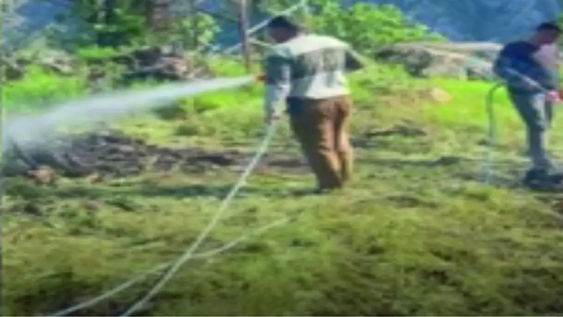 Şirvan'da Kopan Elektrik Hatları Arazi'de Yangın Çıkardı