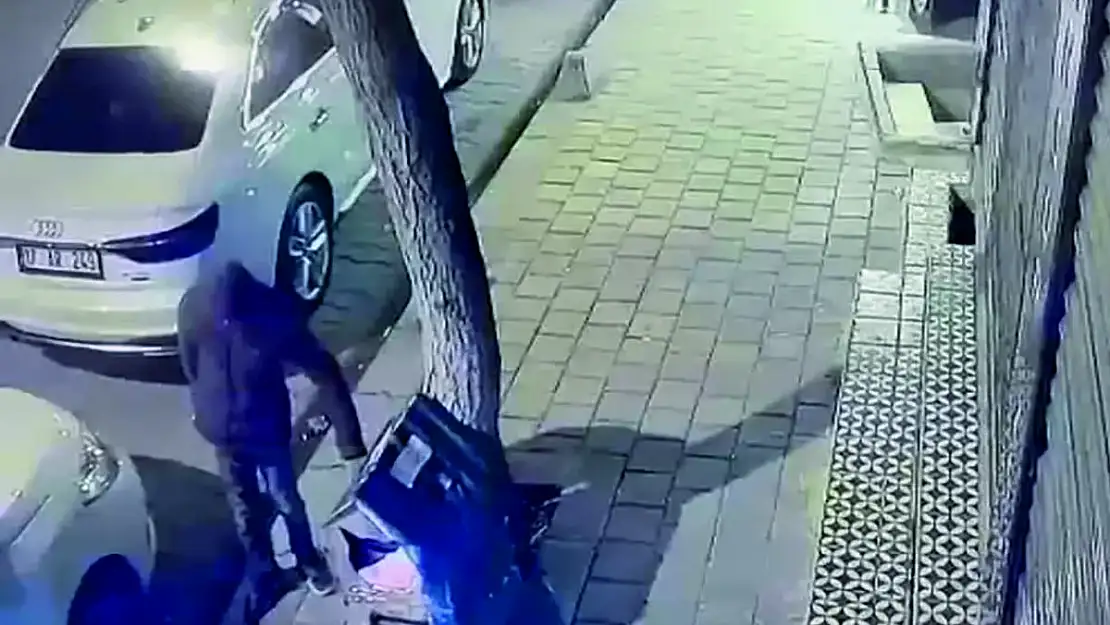 Sokak Kedilerine Saldırı!