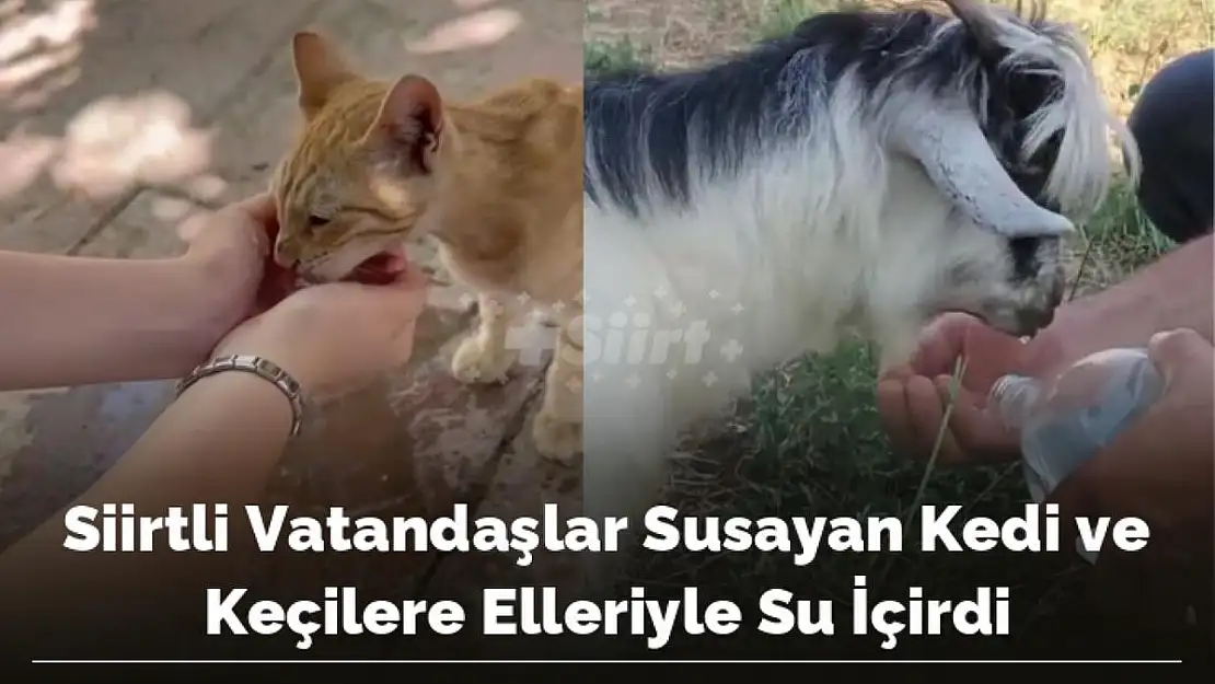 Susayan Kedi ve Keçilere Su İçirdiler
